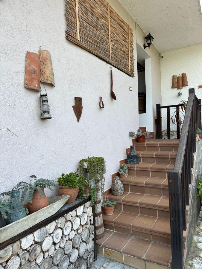 Bed & Breakfast Local Living Edi Μπεράτ Εξωτερικό φωτογραφία
